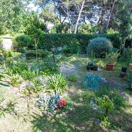Spacious Holiday Home In Molat With Pool Brgulje 외부 사진