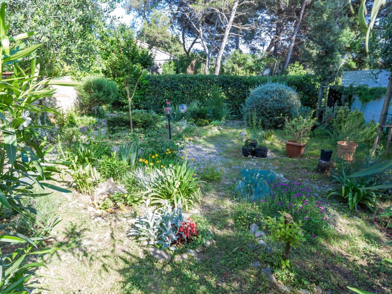 Spacious Holiday Home In Molat With Pool Brgulje 외부 사진